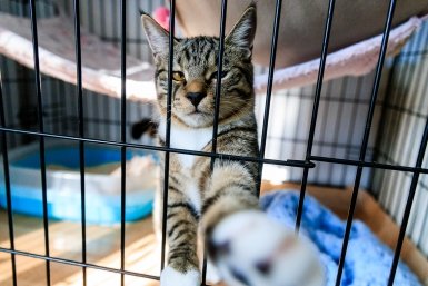 Тематическое фото Евгений  Кулешов, ИА PrimaMedia